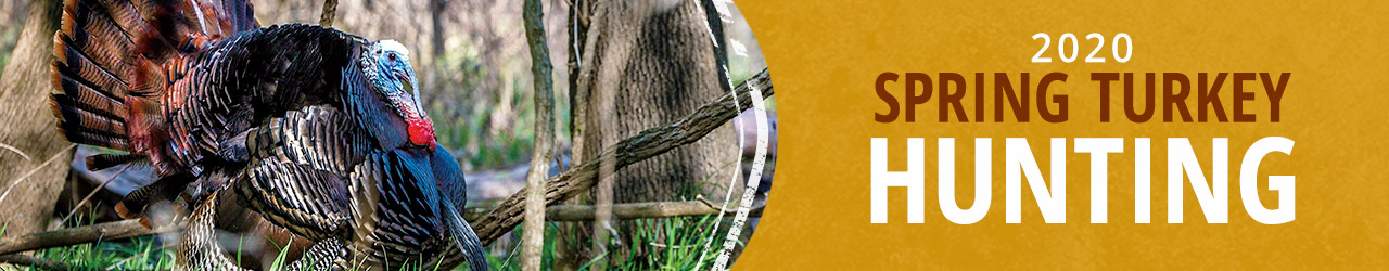 Spring Turkey Hunting